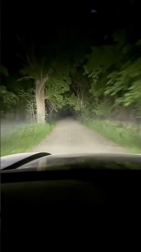 POV: SS3 Pro Combo Ditch Light Kit | Diode Dynamics