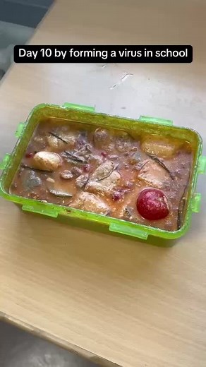 Understanding Different Types of Viruses: A Comprehensive Guide