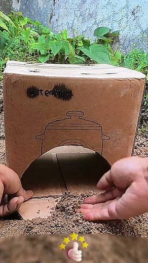 Self - made simple carton flap chicken - catching tool 🐔📦