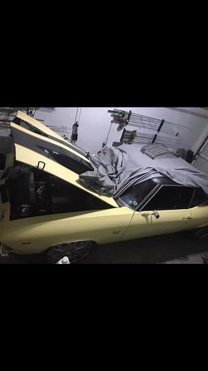 Johnny Sanders on Reels