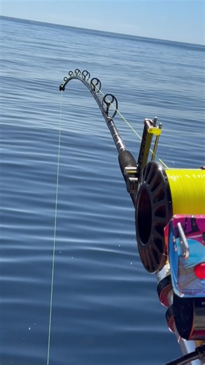 #pescaconflow #sanflow #fyp #viral | pesca