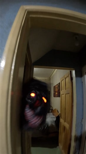 Smug Puppy on Instagram: "Heart-Stoppingly Evil Demonic Creature! I was working at the computer and felt a chill wrap around me. Unbeknownst to me, there was some sort of peeking demonic creature behind me, poking it's ugly head around the door frame mere seconds prior to this feeling. Then, there was a thud sound that seemed to come from my mum and dad's bedroom. I grabbed one of the GoPro cameras next to me (we are recording the living room 24/7 currently because of increased activity) and I w