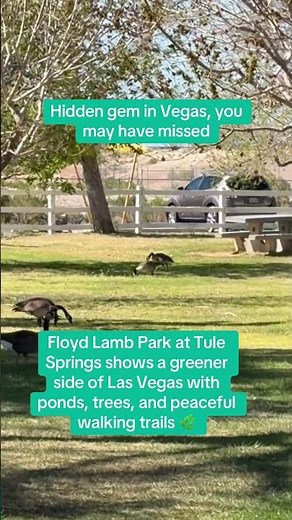 Floyd Lamb Park at Tule Springs is one of Las Vegas’ true hidden gems