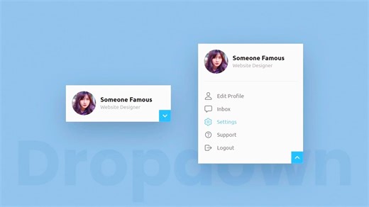 使用HTML、CSS和JavaScript的下拉菜单