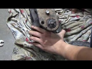 1972 montgomery wards gilson 8hp snowblower