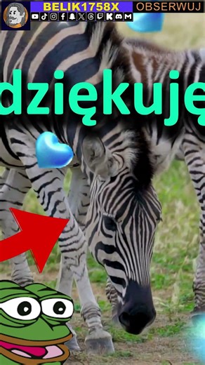 😬JEŚLI JĄ WIDZISZ, NIE RÓB TEGO, BO STANIE SIĘ COŚ STRASZNEGO!👀