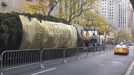 537K views · 2.7K reactions | The Rockefeller Center Christmas tree...