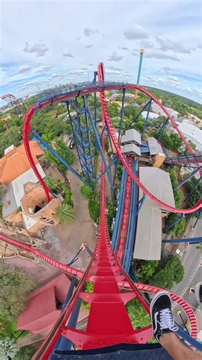 This Dive Coaster Is So Much Fun! • 🎢 Sheikra at Busch Gardens Tampa 🎡 • #fyp #rollercoaster #pov #buschgardens #sheikra