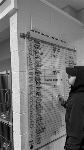 8K views · 237 reactions | Behind the Scenes: Opening shift is a...