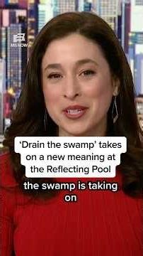 'Drain the swamp' takes on a new meaning at the Reflecting Pool