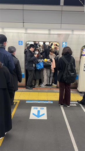 Navigating Tokyo Trains During Rush Hour