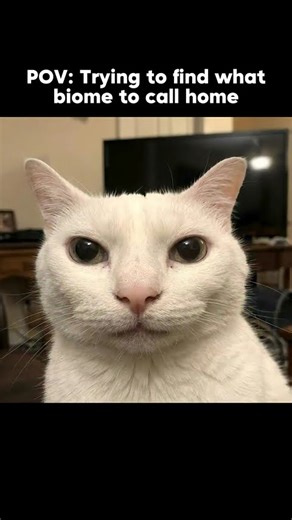 Trying to find the perfect biome be like: