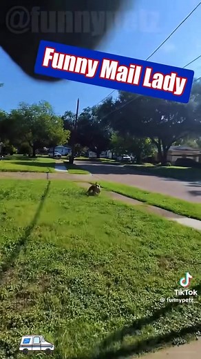 29K views · 1.5K reactions | The DOE SHOW on Reels | Facebook