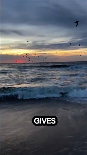 This Sunset Will Calm Your Mind #sunset #oceanwaves #relaxingvideo #shorts