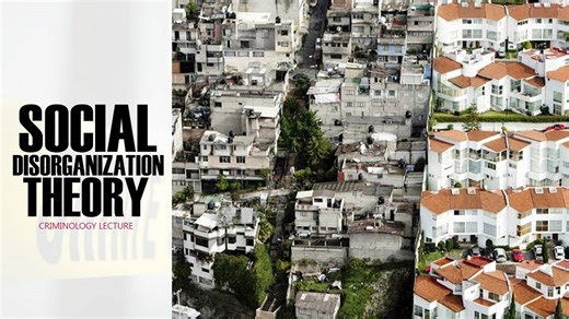 Social Disorganization Theory Explained in Urdu | Criminology CSS