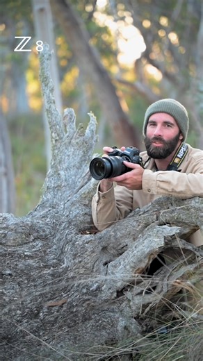 26K views · 489 reactions | Embark on your next adventure with the Nikon Z 8. Whether you're snapping at 5fps, 20fps, or 120fps, the Z 8 delivers stellar performance every time. With *all-day battery power, you're free to shoot from sunrise to sunset without missing a moment. Take your wildlife photography to the next level with the Z 8: nikn.ly/Z8 *subject to individual camera settings (Wi-Fi and etc) | Nikon | Facebook