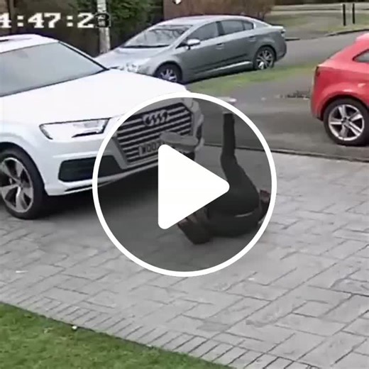 Watch what happened😭😭😂😂😂Wait for it - NewsBreak