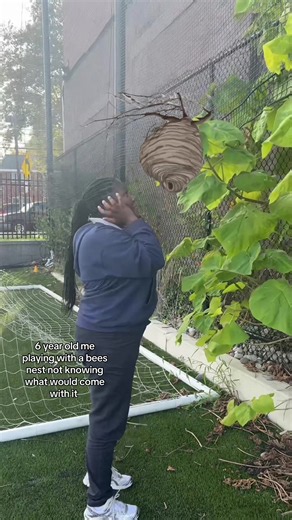 6 year old me playing with a bees nest