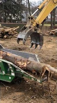 Watch this whole tree disappear to dust. #forestry