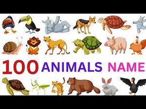 100 Animals Name in English with Pictures | Animals Vocabulary | Animals name with pictures