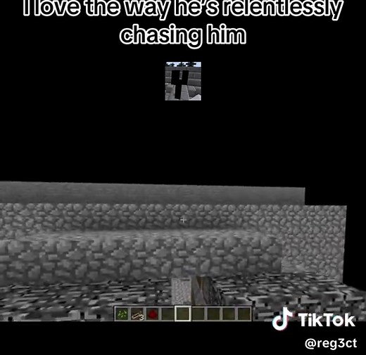 #regect #minecraft #minecraftarg #fyp #arg | minecraft