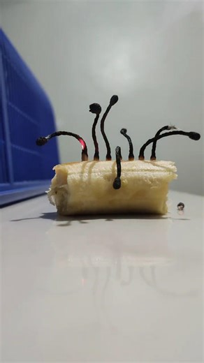 The Banana Match Experiment! #shorts