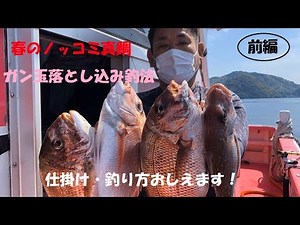 真鯛　コマセ釣り　春のノッコミ　ガン玉落とし込み釣法　解説　前編