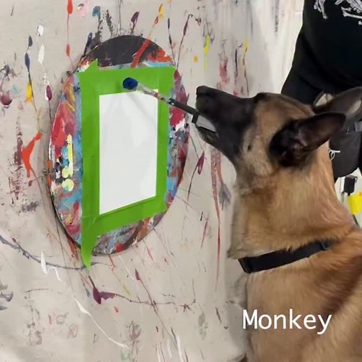 6.2K views · 70K reactions | Full moon | Omar and Monkey | Facebook