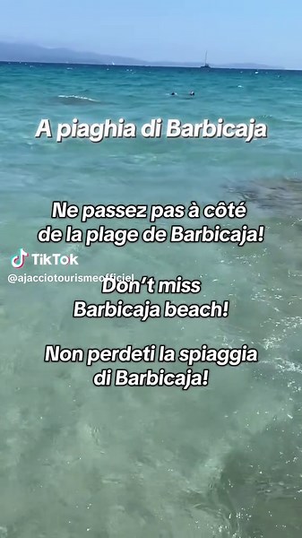 Son sable fin, son eau transparente en font l’une des plages paradisiaques d’Ajaccio. IMMANQUABLE ❤️ #ajaccio #corse #corsica #ete2025 #plagevacances #beachvibes #vacanzeestive #luoghidavisitare #traveltok #fyp
