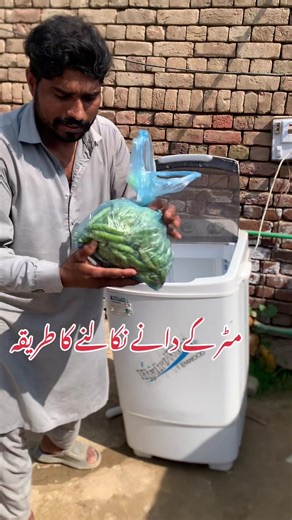 How to Extract Peas from Pods