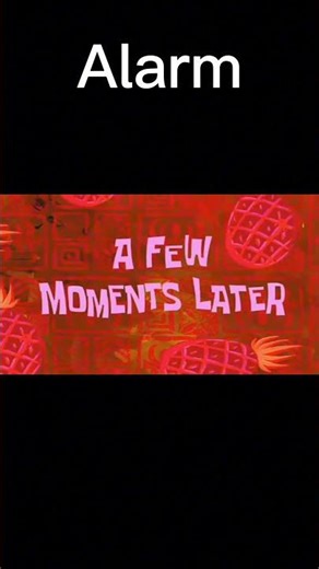 How many alarms do you set per day?