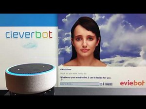 Cleverbot and Eviebot *needing hugs*