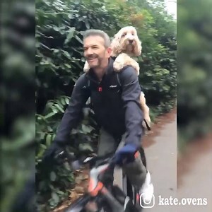 37K views · 198 reactions | THE (good) BOYS ARE BACK IN TOWN  | Kate Ovens | Facebook