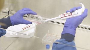 First ever clinical trial of laboratory grown red blood cells being transfused into another person