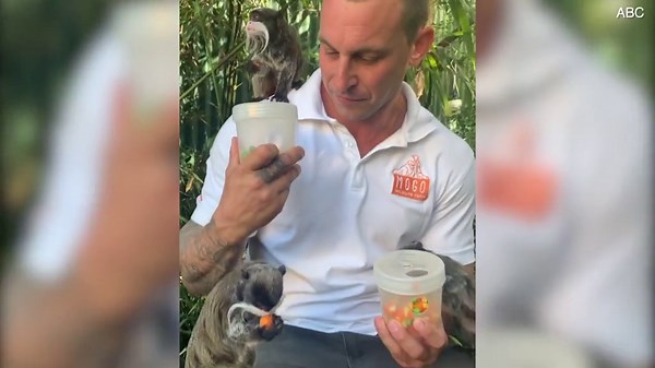Mogo Zookeeper Chad hangs out and feeds animals
