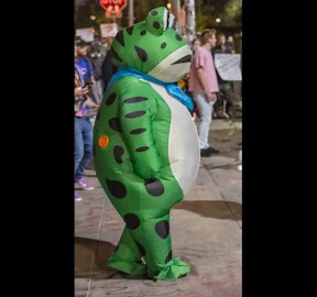 Who is the viral Portland frog? What to know about the costumed protester