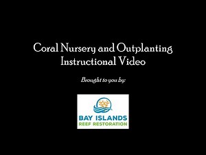 Coral Nursery and Outplanting Instructional Video - Bay Islands Reef Restoration (4K)