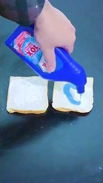 Apply Toothpaste on Bread and Keep Mice and Insects Away from Your Home!