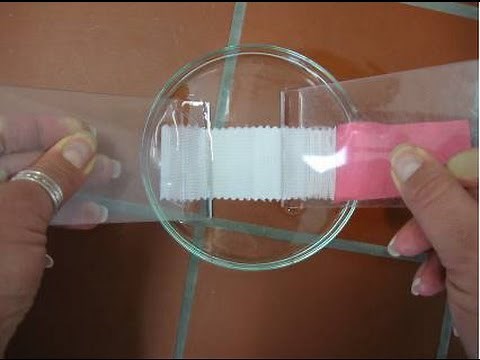 AATCC Color Fastness to Water ISO