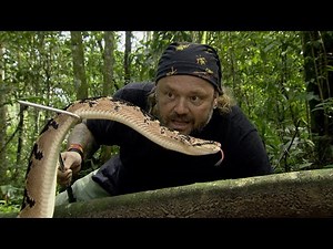 A SERPENTE MAIS TEMIDA DA AMAZÔNIA! | RICHARD RASMUSSEN