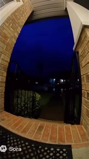 Mewo the AI Cat 😹 | Funniest Cat Video Ever! | Sora 2 Magic 🐾 ✨ 😂