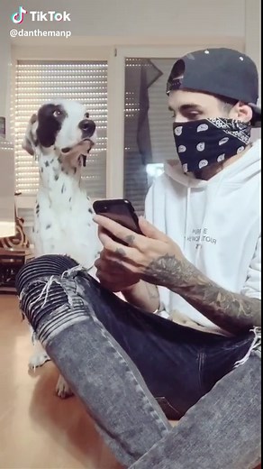 Thx for 10k in less than a month! You’re amazing! Do you want more? #foryou #fürdich #dog #germany