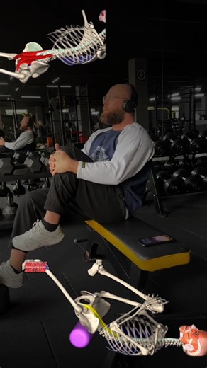 Артур Дубинин|Преподаватель курса "Инструктор тренажерного зала" on Instagram: "Одно из моих любимых упражнений на растяжение и укрепление мышц сгибателей бедра: ✅️Подвздошная мышца ✅️Большая поясничная мышца ✅️Прямая мышца бедра ✅️Портняжная мышца ✅️Мышца, напрягатель широкой фасции бедра ✅️Мышцы живота в данном упражнении находятся в сокращённом состоянии и работают статично. Спазим и, как следствие, укорочение поясничной, подвздошной и прямой мышцы бедра, в результате постоянного нахождения т