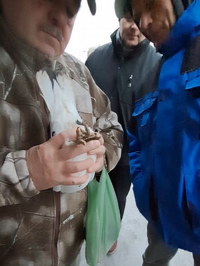 Samiec czy Samica? Odpowiedzi na odwieczne pytanie