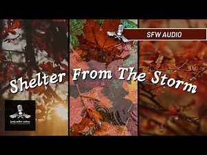 Boyfriend Comfort Roleplay Audio | Sheltering You From The Storm [Sleep Aid] 🍂 | Hank Miller Audios