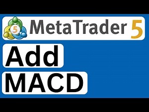 How to Add MACD in MetaTrader 5 - Easy to Follow