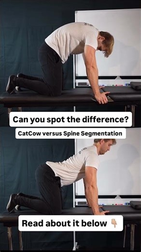 CatCow vs. Spine Segmentation #gymworkout #homeworkout #yoga #strengthtraining #strengthtraining