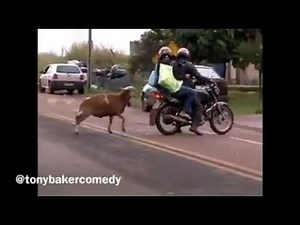 😂 Funny Tony Baker voiceover, 'CRAM!' video compilation. 👌💯