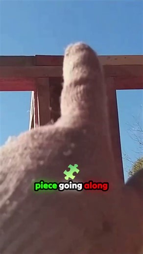 Mind-Blowing Woodworking Secret! Watch This Clever Timber Connection!