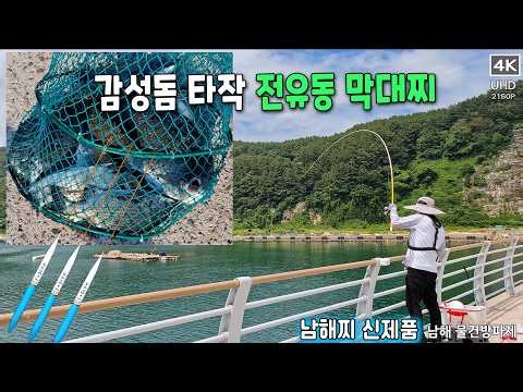 감성돔 타작 !! 전유동 막대찌 , #감성돔낚시 #전유동막대찌 #전유동낚시 #전유동 #남해 #남해군 #fishing #남해물건방파제 #독일마을 #물건항 #물건방파제 #유성호